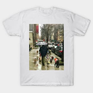 Dog Walking in NY T-Shirt